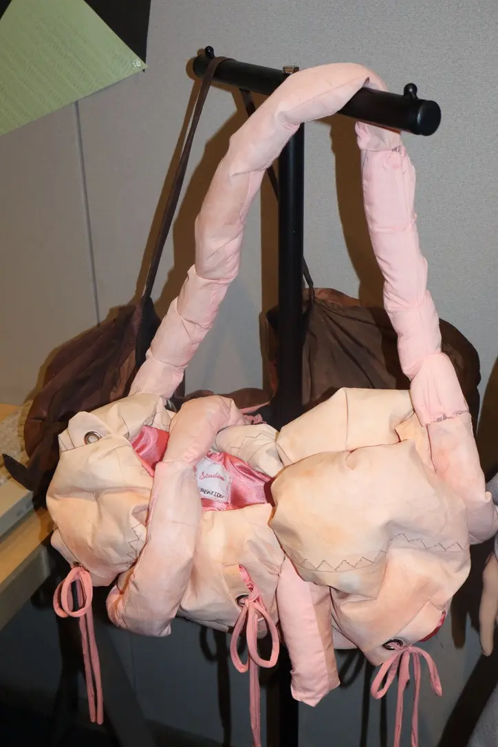 go with your gut bag